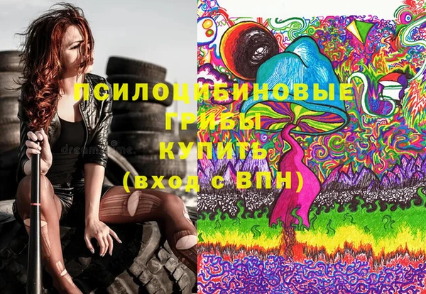 spice Горняк
