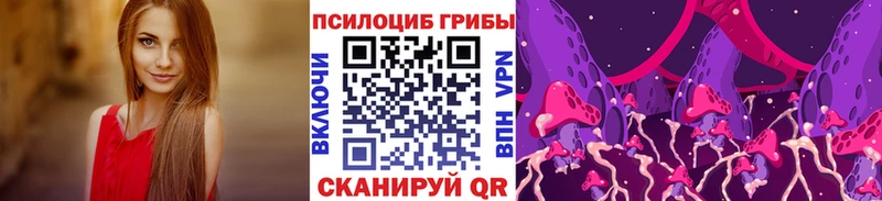 Галлюциногенные грибы MAGIC MUSHROOMS  где купить наркоту  Новохопёрск 